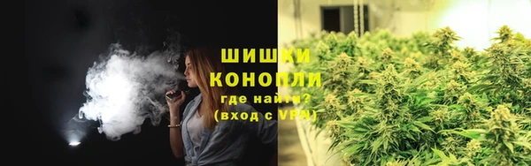 трава Тайга