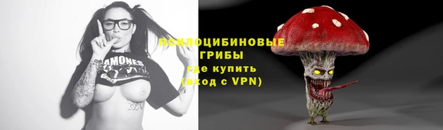 трава Тайга